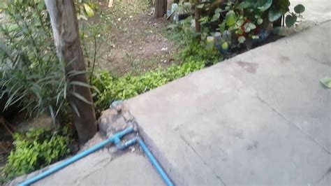 Nagdudukit Porn Videos .